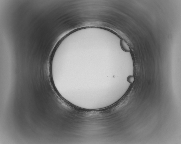 X0000110860846200907091339