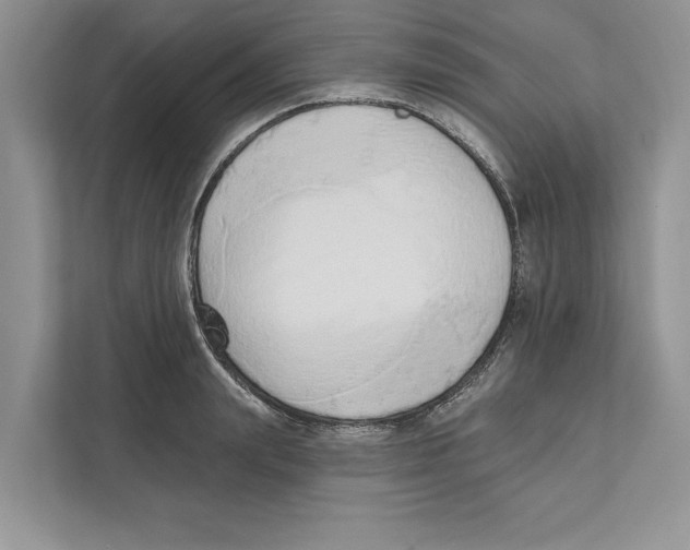 X0000110860847200907091339