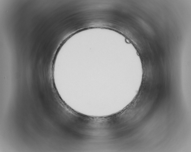 X0000110860848200907091339