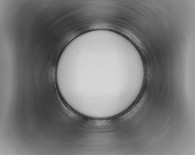 X0000110860849200907091339