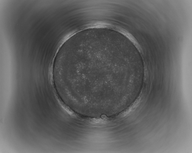 X0000110860850200907091339