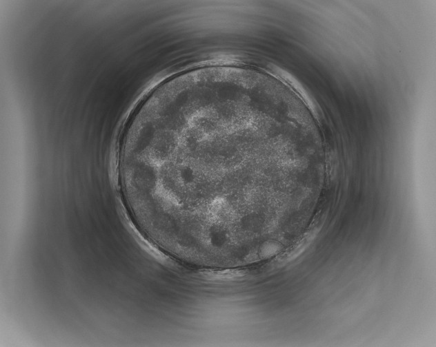 X0000110860851200907091339