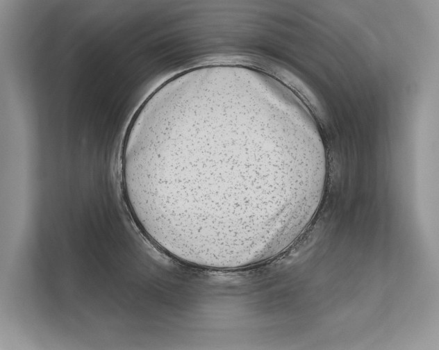 X0000110860852200907091339