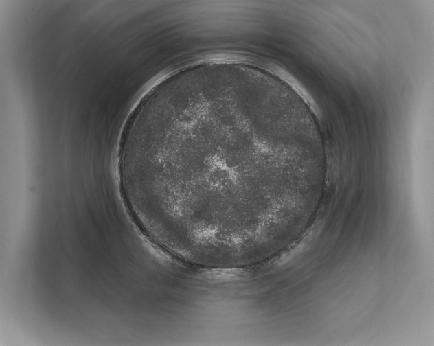 X0000110860853200907091339