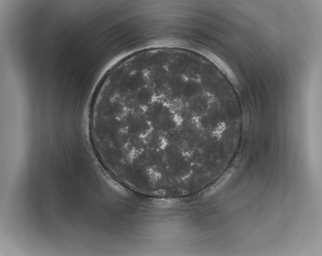 X0000110860854200907091339