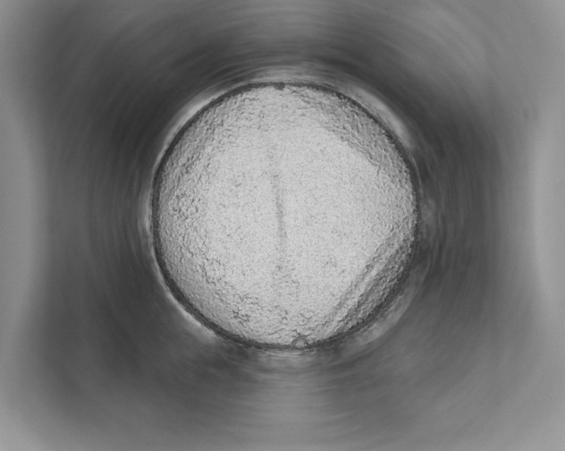 X0000110860855200907091339