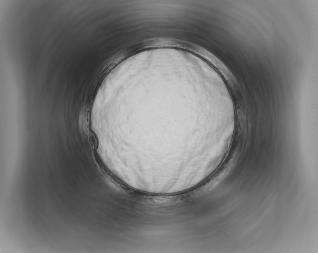 X0000110860857200907091339