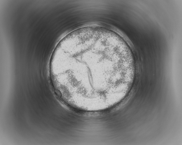 X0000110860858200907091339