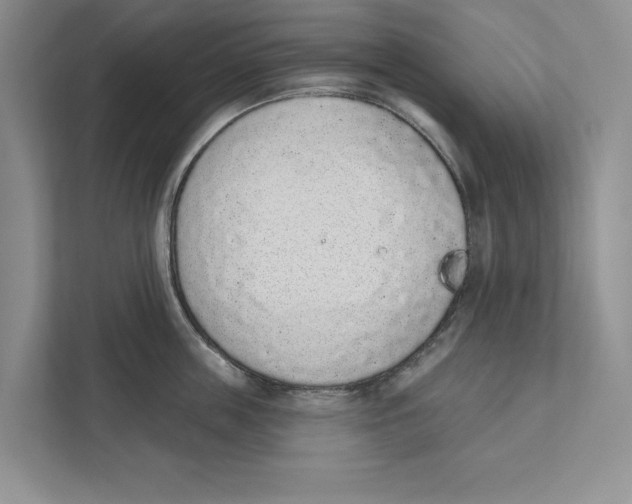 X0000110860859200907091339