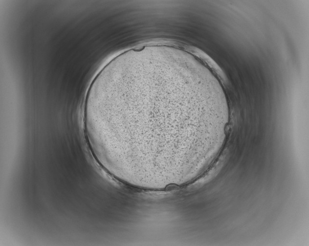 X0000110860860200907091339