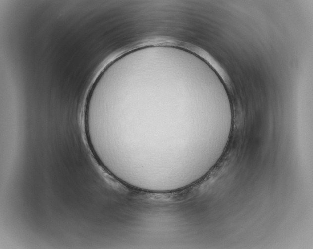 X0000110860861200907091339