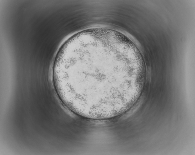 X0000110860862200907091339