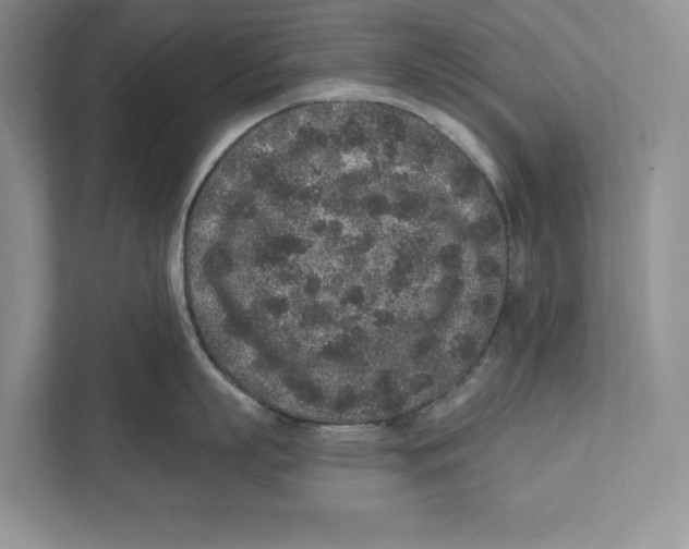 X0000110860863200907091339