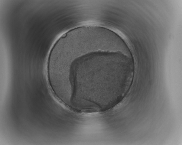 X0000110860864200907091339