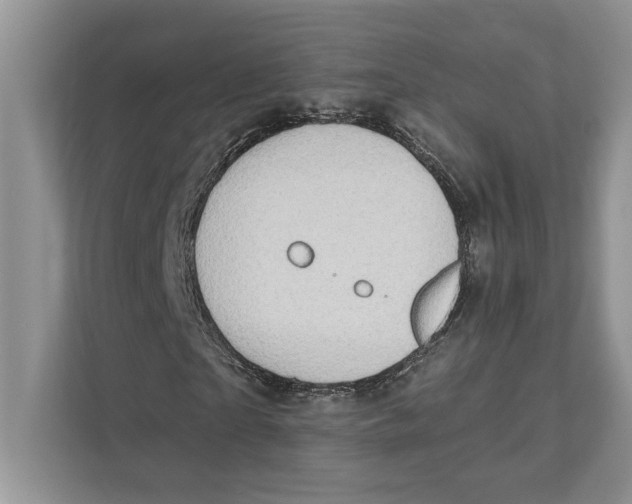 X0000110860865200907091338