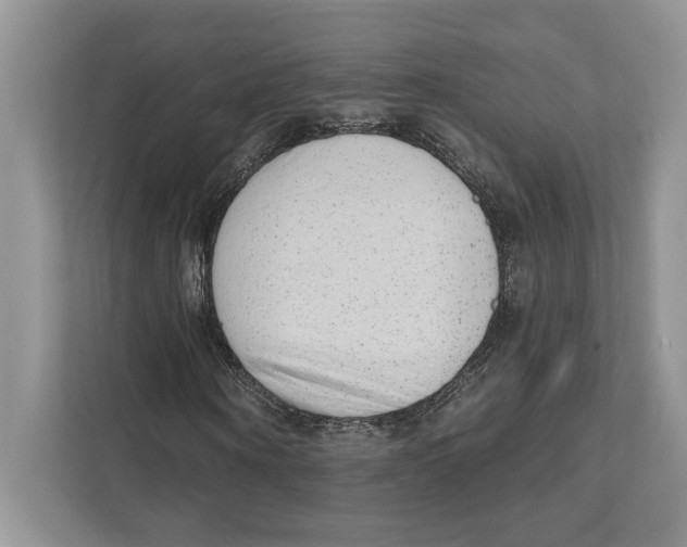 X0000110860866200907091338