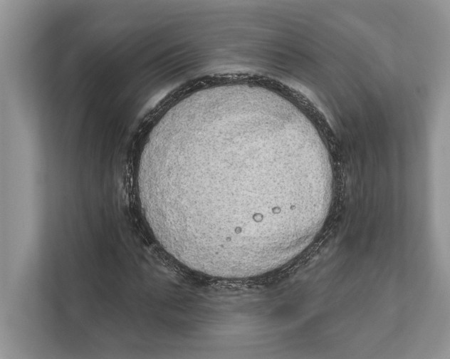 X0000110860871200907091338