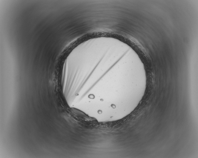 X0000110860872200907091338