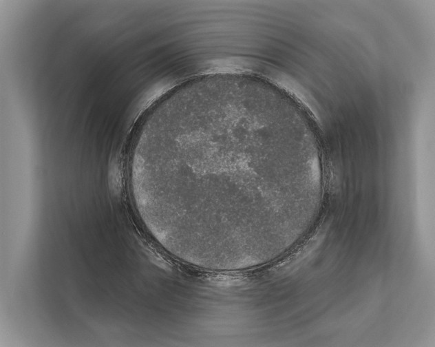 X0000110860874200907091338