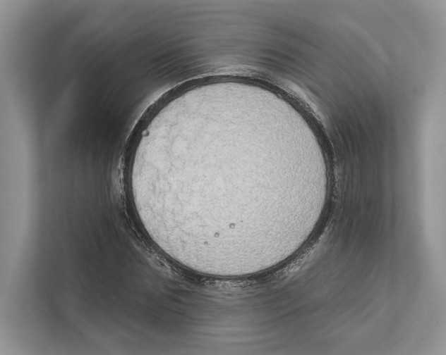 X0000110860875200907091338