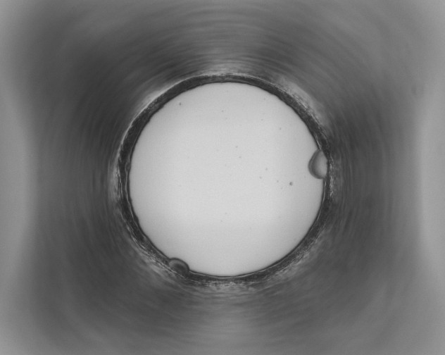 X0000110860876200907091338