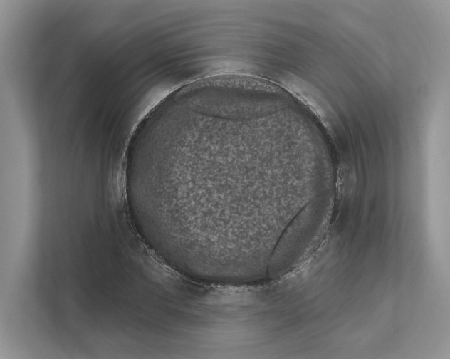 X0000110860877200907091338