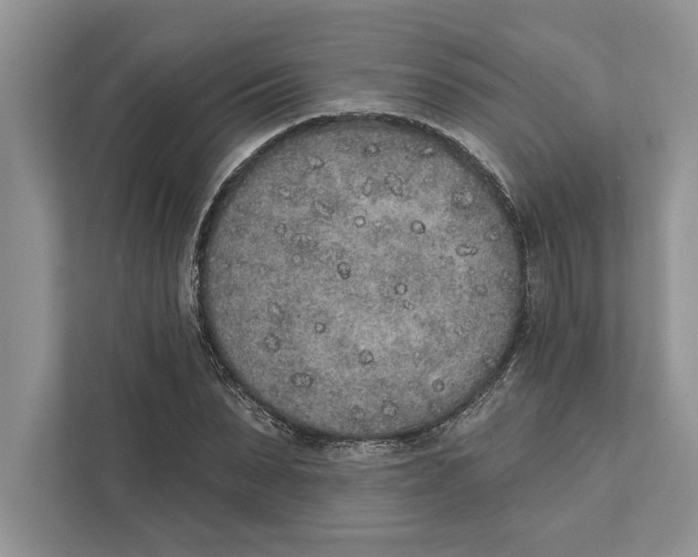 X0000110860879200907091338