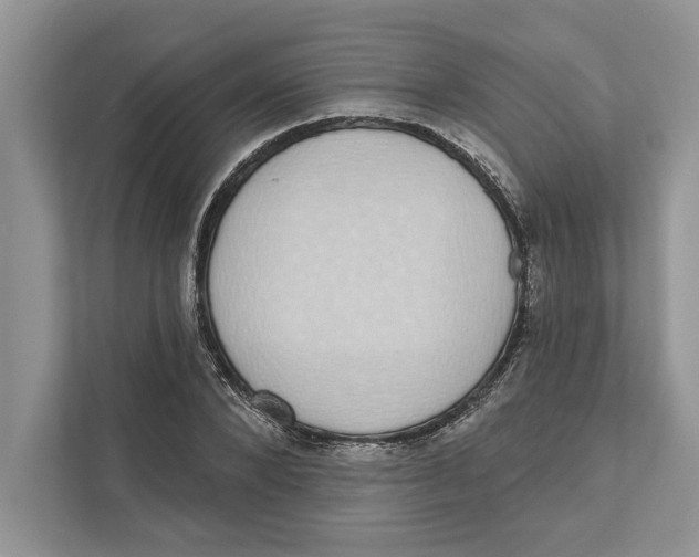 X0000110860880200907091338