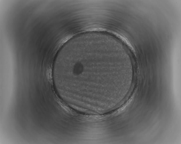 X0000110860881200907091338