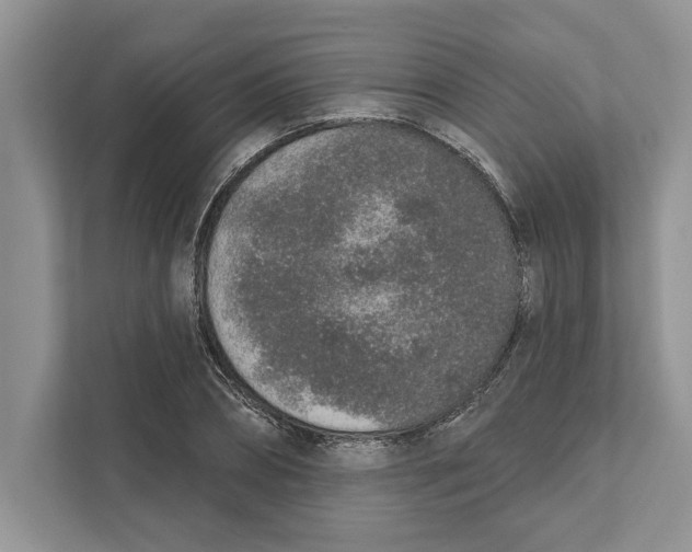 X0000110860882200907091338