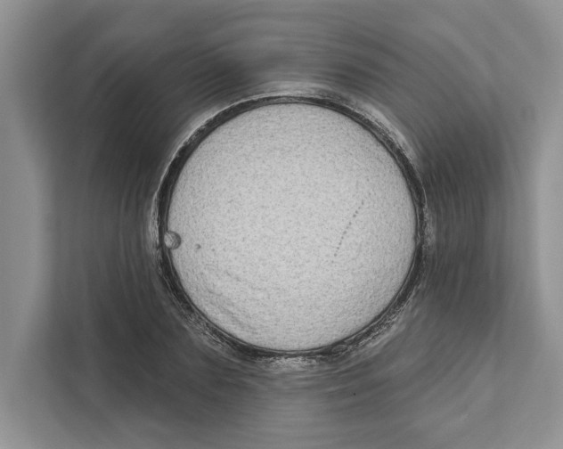 X0000110860883200907091338