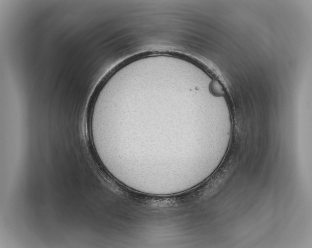 X0000110860887200907091338