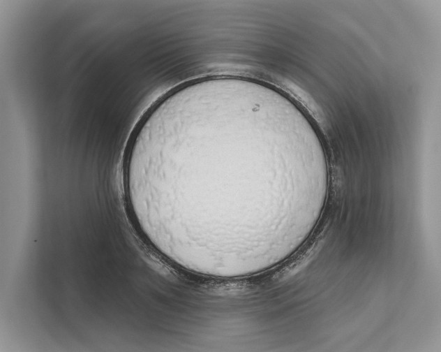 X0000110860891200907091338