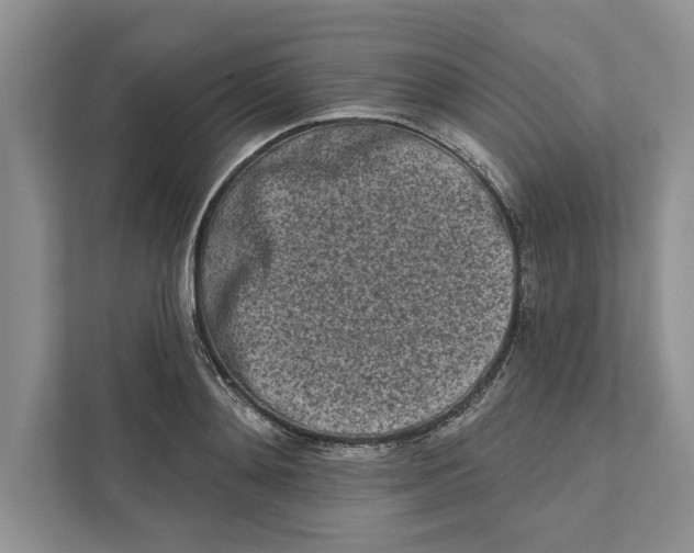 X0000110860892200907091338