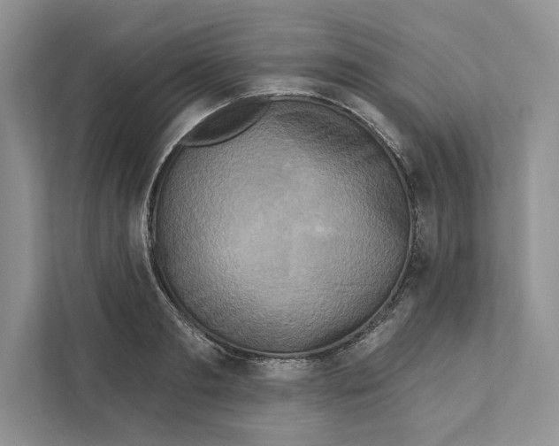 X0000110860893200907091338