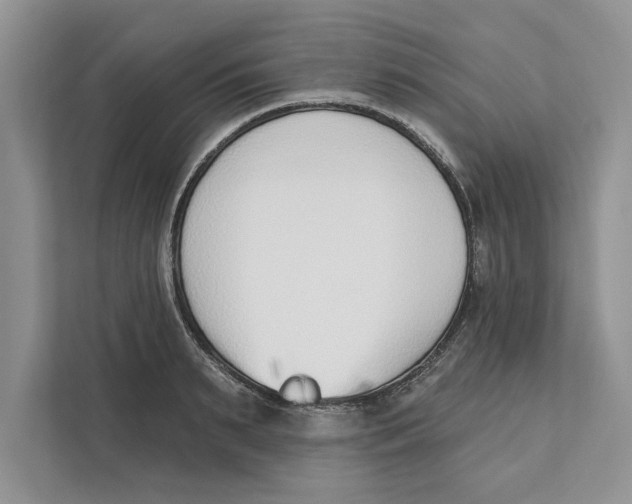 X0000110860895200907091338