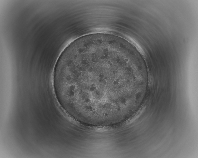 X0000110860899200907091338