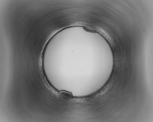 X0000110860900200907091338