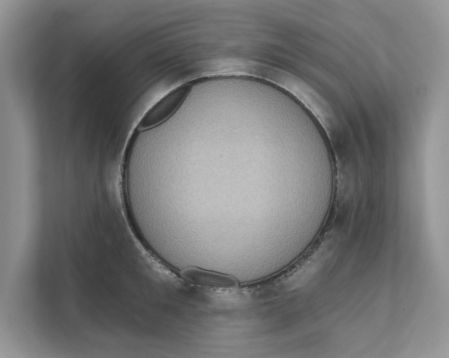 X0000110860901200907091338