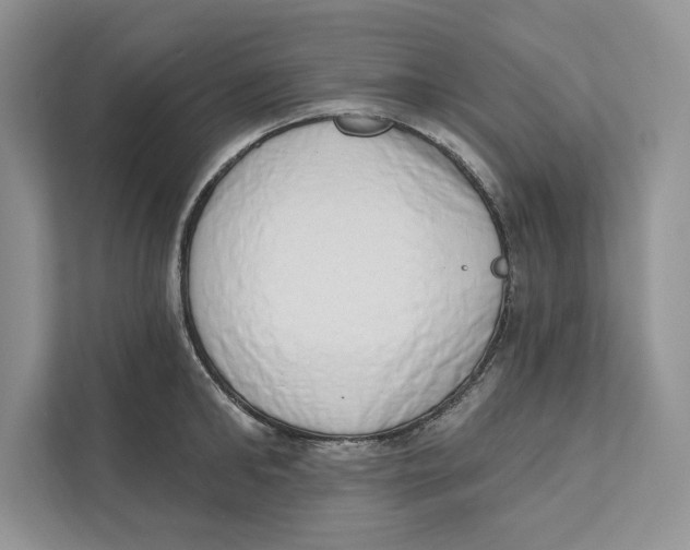 X0000110860902200907091338