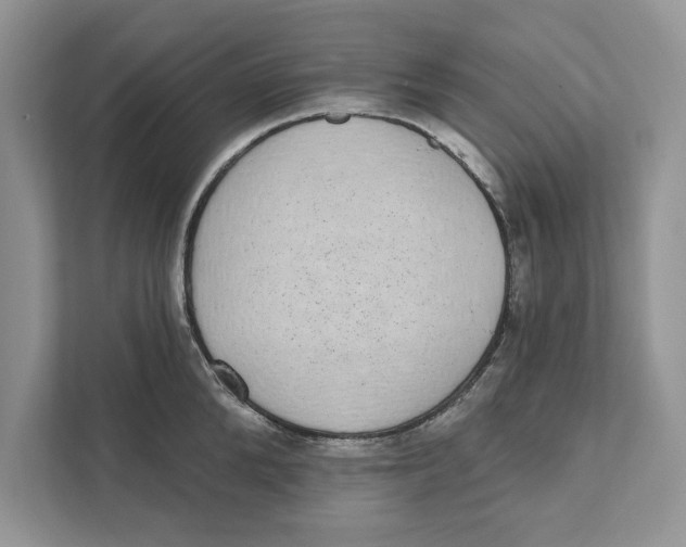 X0000110860904200907091338