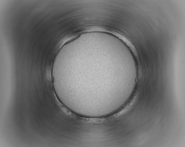 X0000110860905200907091338