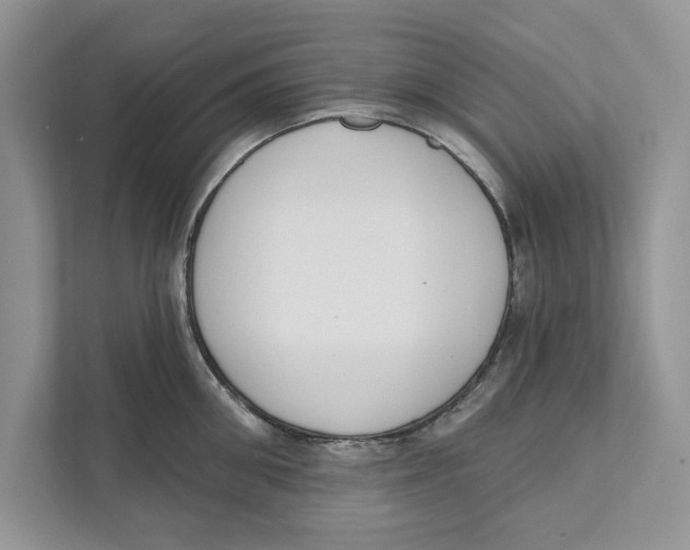 X0000110860906200907091338