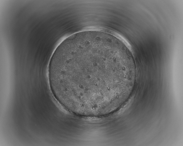 X0000110860907200907091338