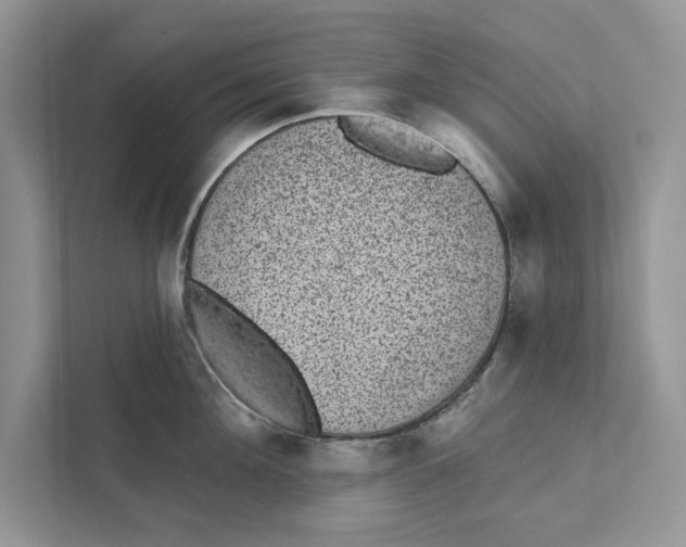 X0000110860908200907091338