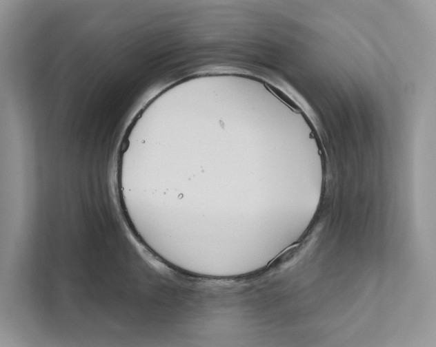 X0000110860909200907091338