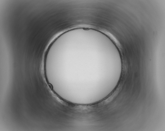 X0000110860910200907091338