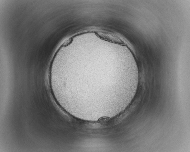 X0000110860911200907091338