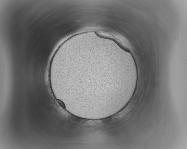 X0000110860912200907091338