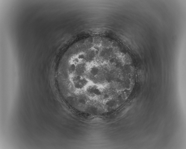 X0000110860913200907091337